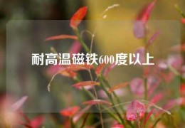 耐高温磁铁600度以上