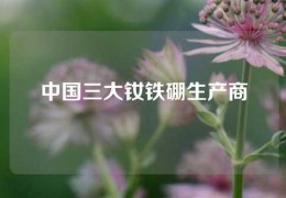 中国三大钕铁硼生产商