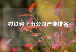 钕铁硼上市公司产能排名