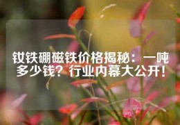 钕铁硼磁铁价格揭秘：一吨多少钱？行业内幕大公开！