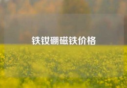 铁钕硼磁铁价格