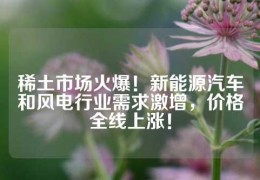 稀土市场火爆！新能源汽车和风电行业需求激增，价格全线上涨！