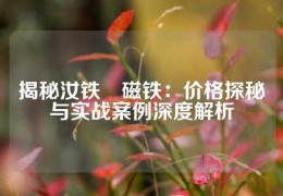 揭秘汝铁錋磁铁：价格探秘与实战案例深度解析