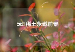 2023稀土永磁前景