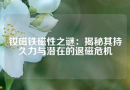 钕磁铁磁性之谜：揭秘其持久力与潜在的退磁危机