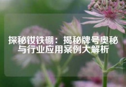 探秘钕铁硼：揭秘牌号奥秘与行业应用案例大解析