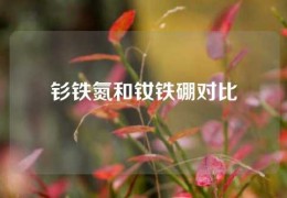 钐铁氮和钕铁硼对比