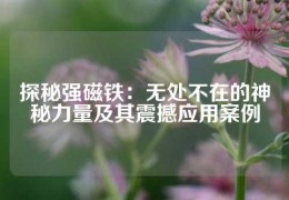 探秘强磁铁：无处不在的神秘力量及其震撼应用案例