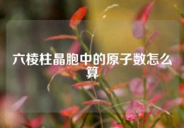 六棱柱晶胞中的原子数怎么算