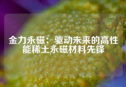 金力永磁：驱动未来的高性能稀土永磁材料先锋