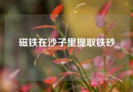 磁铁在沙子里提取铁砂