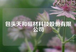 包头天和磁材科技股份有限公司