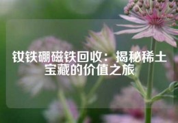 钕铁硼磁铁回收：揭秘稀土宝藏的价值之旅