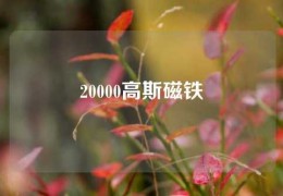 20000高斯磁铁