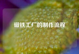 磁铁工厂的制作流程