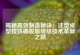 揭秘高效制造秘诀：注塑成型钕铁硼脱脂烧结技术革新之路