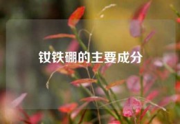 钕铁硼的主要成分