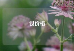 钕价格