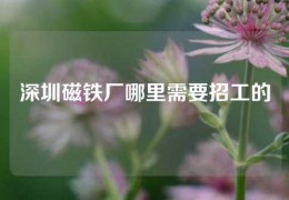 深圳磁铁厂哪里需要招工的