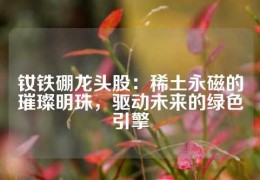 钕铁硼龙头股：稀土永磁的璀璨明珠，驱动未来的绿色引擎