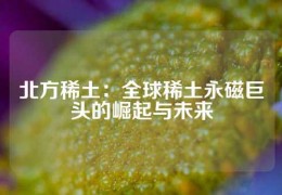 北方稀土：全球稀土永磁巨头的崛起与未来