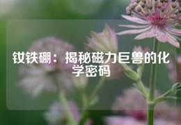 钕铁硼：揭秘磁力巨兽的化学密码