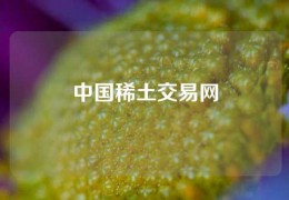 中国稀土交易网