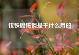 钕铁硼磁钢是干什么用的