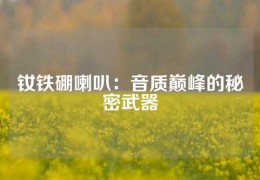 钕铁硼喇叭：音质巅峰的秘密武器