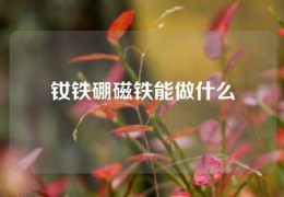 钕铁硼磁铁能做什么