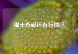 稀土永磁还有行情吗