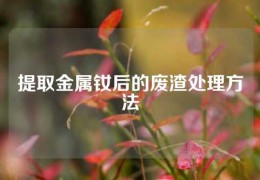 提取金属钕后的废渣处理方法