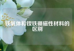 铁氧体和钕铁硼磁性材料的区别