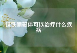 钕铁硼磁体可以治疗什么疾病