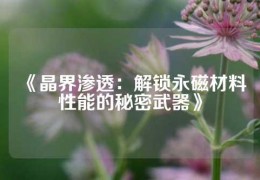 《晶界渗透：解锁永磁材料性能的秘密武器》