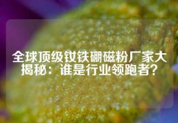 全球顶级钕铁硼磁粉厂家大揭秘：谁是行业领跑者？