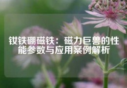 钕铁硼磁铁：磁力巨兽的性能参数与应用案例解析