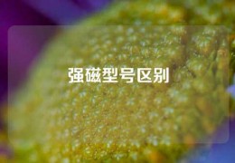 强磁型号区别