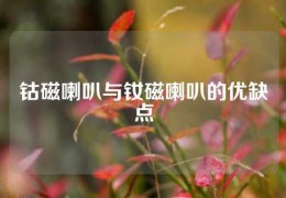 钴磁喇叭与钕磁喇叭的优缺点