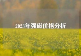 2023年强磁价格分析