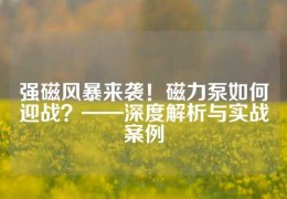 强磁风暴来袭！磁力泵如何迎战？——深度解析与实战案例