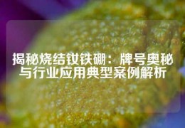 揭秘烧结钕铁硼：牌号奥秘与行业应用典型案例解析