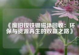 《废旧钕铁硼磁体回收：环保与资源再生的双赢之路》