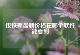 钕铁硼最新价格在哪个软件能看到