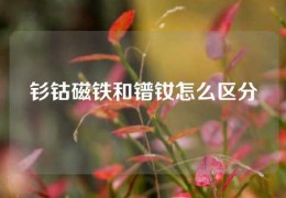 钐钴磁铁和镨钕怎么区分