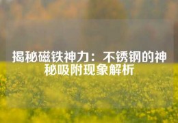 揭秘磁铁神力：不锈钢的神秘吸附现象解析