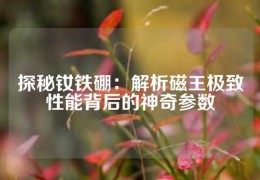 探秘钕铁硼：解析磁王极致性能背后的神奇参数