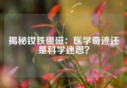 揭秘钕铁硼磁：医学奇迹还是科学迷思？