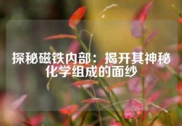 探秘磁铁内部：揭开其神秘化学组成的面纱