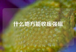 什么地方能收废强磁